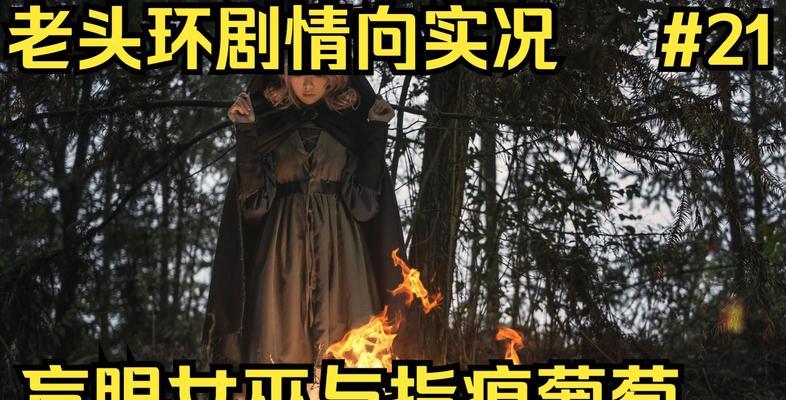 《艾尔登法环葡萄支线》攻略大全（征服自然，探索未知——完美攻略艾尔登法环葡萄支线）