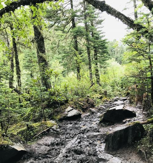 进化之地：探索矿洞水坑宝藏攻略