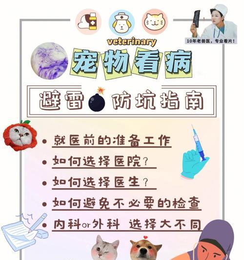 魔之谷宠物培养攻略(从零开始,成为培养专家的秘籍)