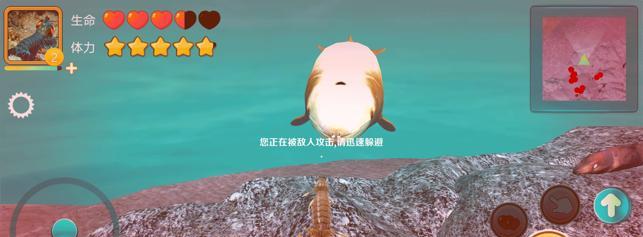 皮皮虾传奇钻石获取攻略（快速获取游戏道具，畅享游戏乐趣）
