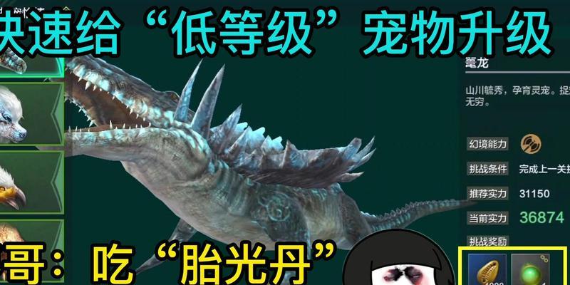 《妄想山海宠物》快速升级攻略（打造最强宠物阵容，成为巅峰玩家）