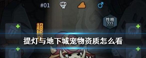 《提灯与地下城宠物进化指南》(稀有宠物进化条件介绍及技巧分享)