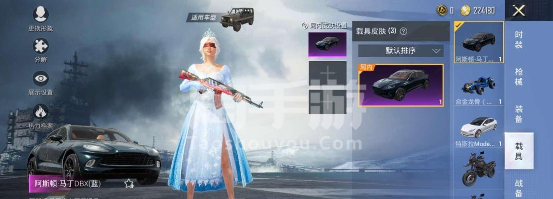《和平精英扶摇飞仙军需套装外观解析》（战场风云中的华丽身影——扶摇飞仙军需套装）