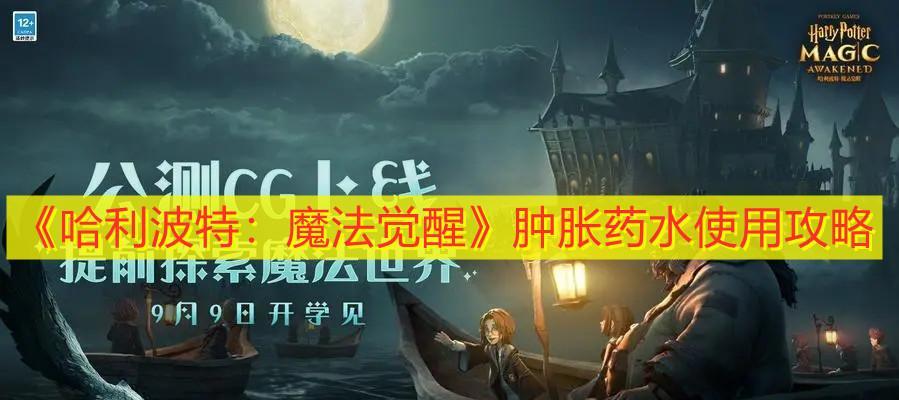 哈利波特魔法觉醒攻略（掌握魔力值）