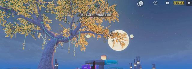 游走海岛，玩转新地图，尽享和平精英的美妙（游走海岛）