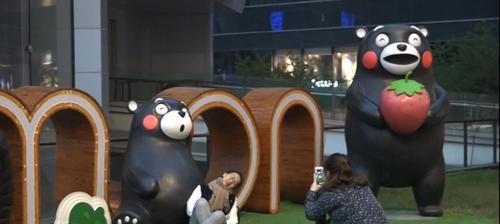 《阴阳师》游戏熊本熊空降庭院，共创新联动（熊本熊来啦）