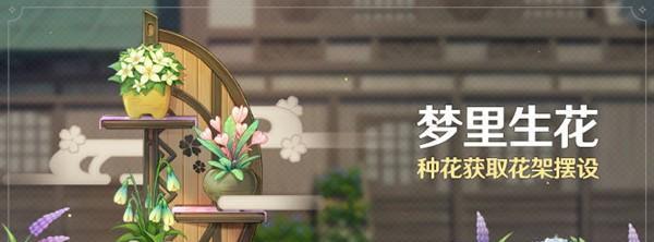 原神振奋的渐变摆设攻略：如何获得摆设？
