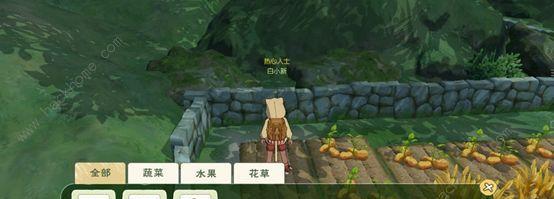 《属性与生活2》完美开局攻略技巧详解（从零开始）