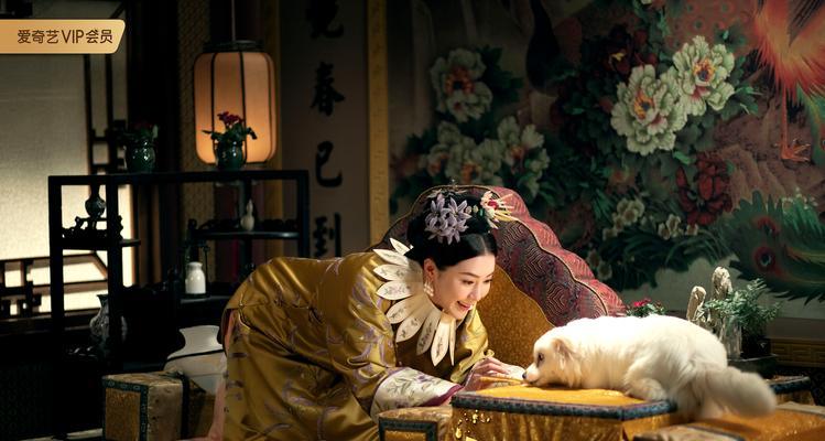天下手游王朝密探任务攻略（王朝密探任务详解）