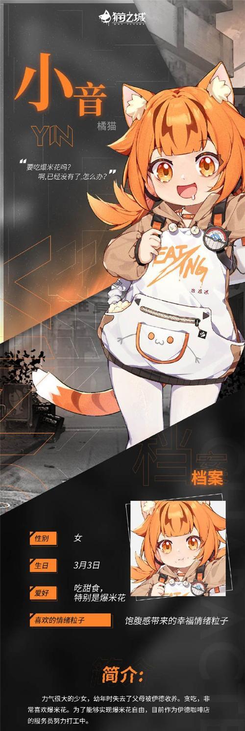 《以猫之城疯人院配队最强阵容，让你赢遍全场》（打造最强阵容）