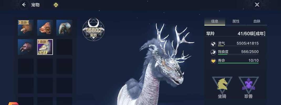 探索幻想世界（开启奇幻冒险）