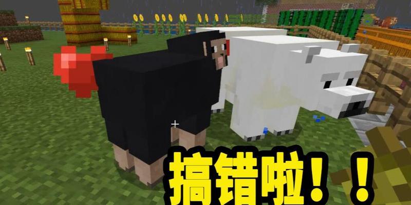 北极熊驯服指南（了解北极熊驯服方法）