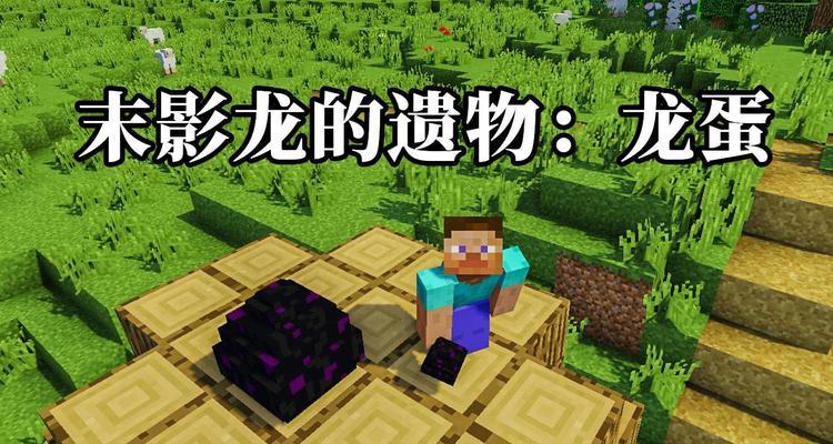 我的世界（了解如何获取并利用结构方块）