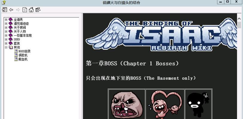 《以撒的结合胎衣妈心过关攻略》（从零开始）