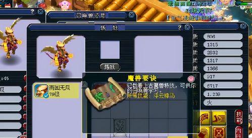 《梦幻西游》攻宠兽决攻略(解析《梦幻西游》游戏中最强攻宠兽决的使用技巧与策略)