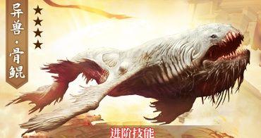 一起来捉妖鲲（揭开捉妖鲲技能的神秘面纱）