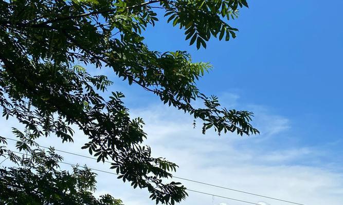 《以乱斗西游月涌盘龙套装打造全新玩法》（探究月涌盘龙套装属性）