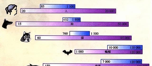 《以猫和老鼠手游》中狗哨的用途和获取方法详解（一款趣味盎然的猫鼠追逐游戏）