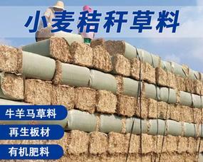 模拟农场22草料制作攻略（详解草料的制作方法）