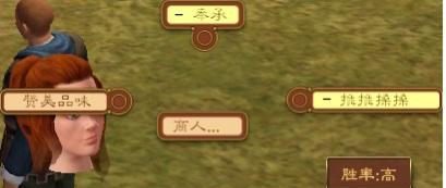 模拟人生（以游戏为主）