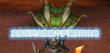 揭开魔兽世界宠物战斗周的神秘面纱（深入探究宠物战斗周）