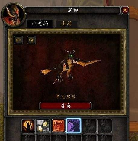 魔兽世界怀旧服猎人宝宝选择宠物攻略（挑选适合自己的宠物）