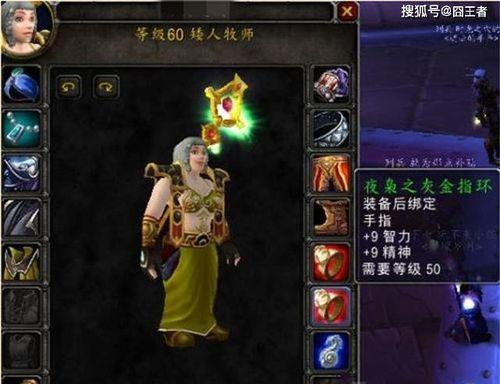 《魔兽世界怀旧服60版本牧师玩法指南》（从初级到高级）