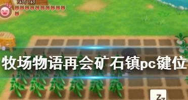牧场物语（15个小技巧让你事半功倍）