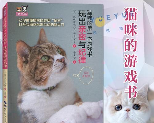 《猫咪公寓2》如何让猫咪恋爱生小猫攻略（打造甜蜜爱巢）