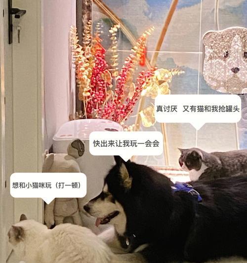 《以流浪日记香烟为主题的刷法攻略》（游戏中如何有效获取和刷取流浪日记香烟）