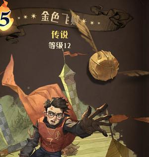 哈利波特魔法觉醒豪华礼盒性价比分析（以游戏为主的礼盒是否物有所值）