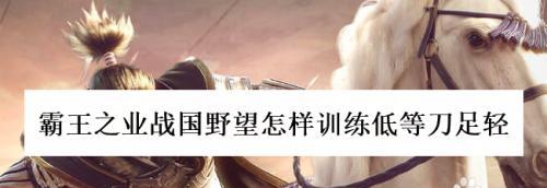 攻打技巧在霸王之业战国野望中如何应用？分析各种攻打策略的效果如何？
