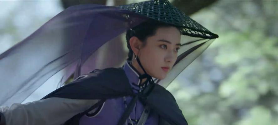 《金书群芳谱》82版飞雪程灵素线怎么玩？玩家攻略有哪些？
