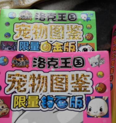 洛克王国宠物装备在哪里出售？