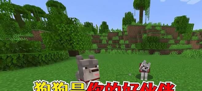 我的世界如何给狗狗起个名字？有哪些有趣的命名建议？