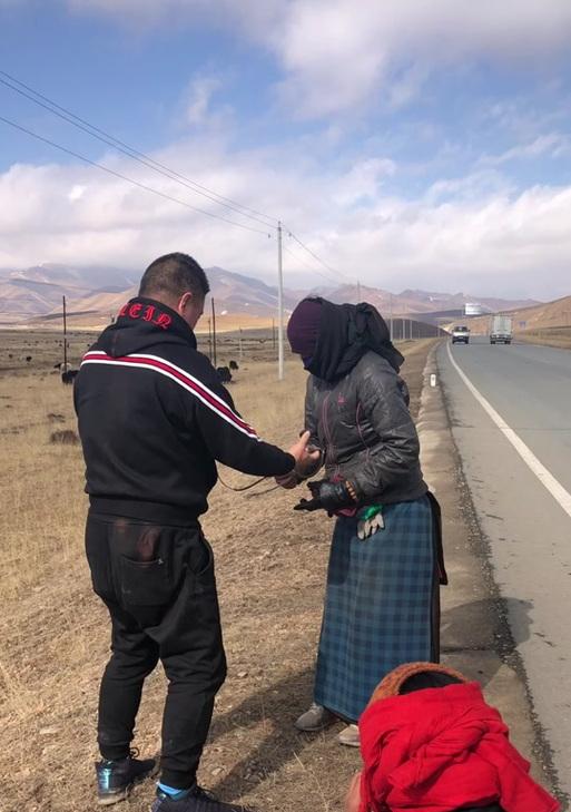 魔兽世界正式服赶牛任务怎么做？赶牛任务的详细步骤是什么？