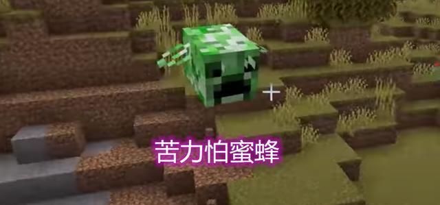 我的世界蜂怎么死了？蜂死亡的原因和预防措施是什么？