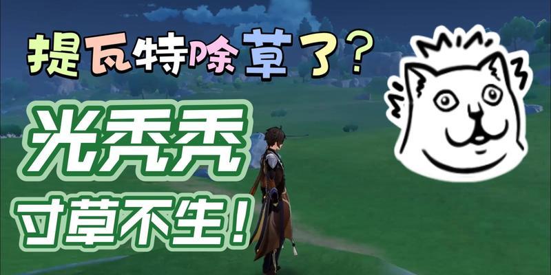 原神秃秃豆购买地点在哪里？