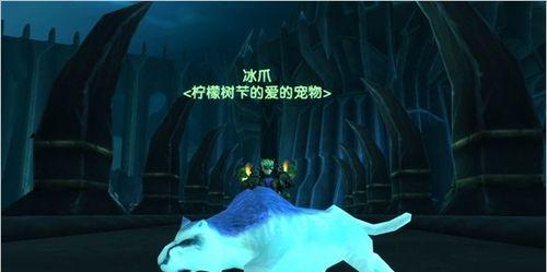 魔兽世界天猎人的加赋方法是什么？如何提升能力？