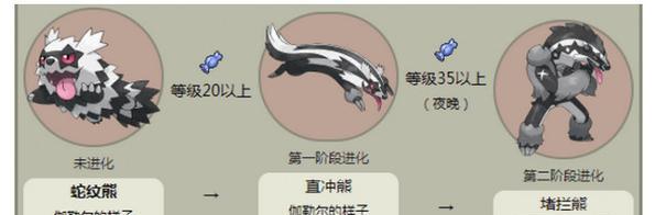 宝可梦剑盾手游中有哪些隐藏彩蛋?