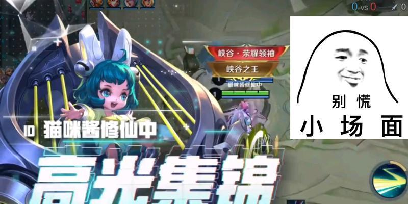 荣耀王者小菜姬的价格是多少？购买后如何使用？