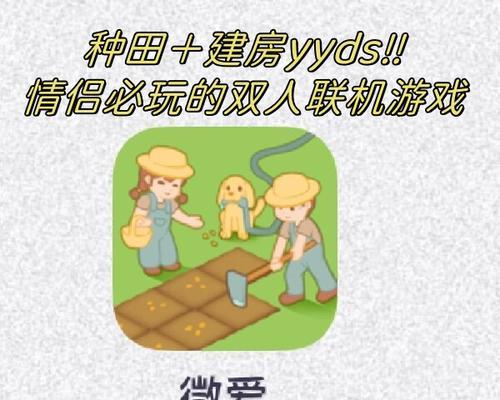 哪些双人种田类手游值得推荐？如何选择合适的双人种田游戏？