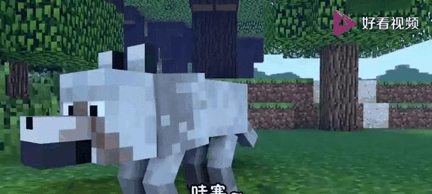 我的世界手机版中如何给羊染色？染色羊有什么用途？