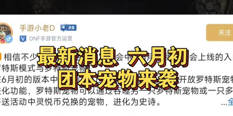 dnf手游团本宠物哪个最厉害？团本宠物选择哪个好？