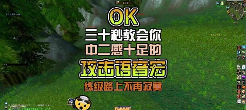 在魔兽世界中如何有效喊话？有哪些喊话技巧可以提高效率？
