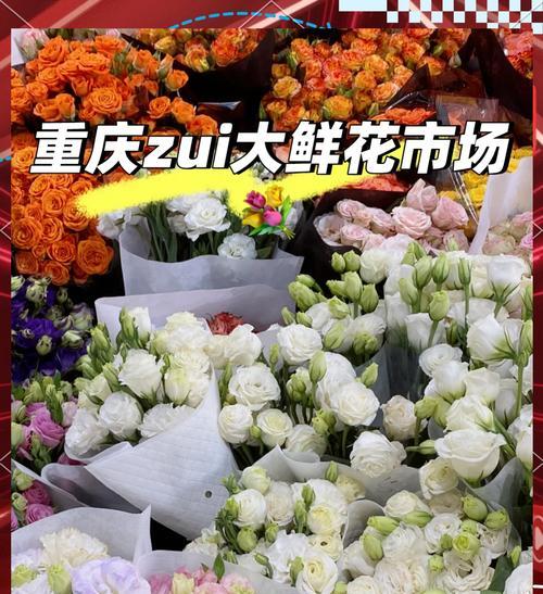 玫瑰花的价格是多少？购买时需要注意什么？