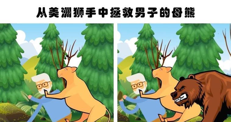 魔兽世界最后的母熊如何拯救？拯救后有何影响？