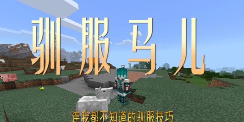 我的世界怎么造马？造马的方法是什么？
