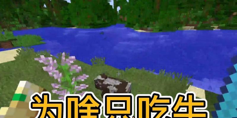 《我的世界》中牛肉的烹饪方法是什么？有什么效果？