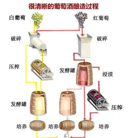 酿造葡萄酒的步骤？我的世界中葡萄酒的制作方法是什么？